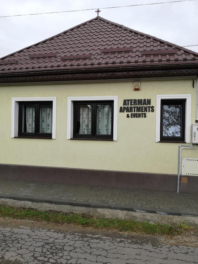 Aterman Apartment'S Sinca Veche Екстер'єр фото